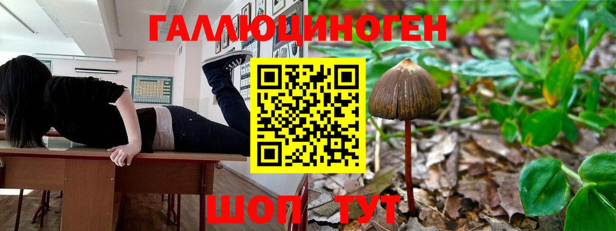 Псилоцибиновые грибы Cubensis Ленинск-Кузнецкий
